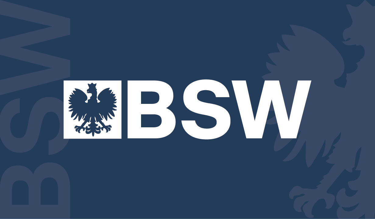 Detektyw BSW